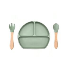 Plate and Spoon